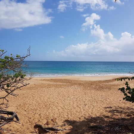 L'Aurielle, Tout Le Confort A 500M De La Plage Sainte-Rose Bagian luar foto