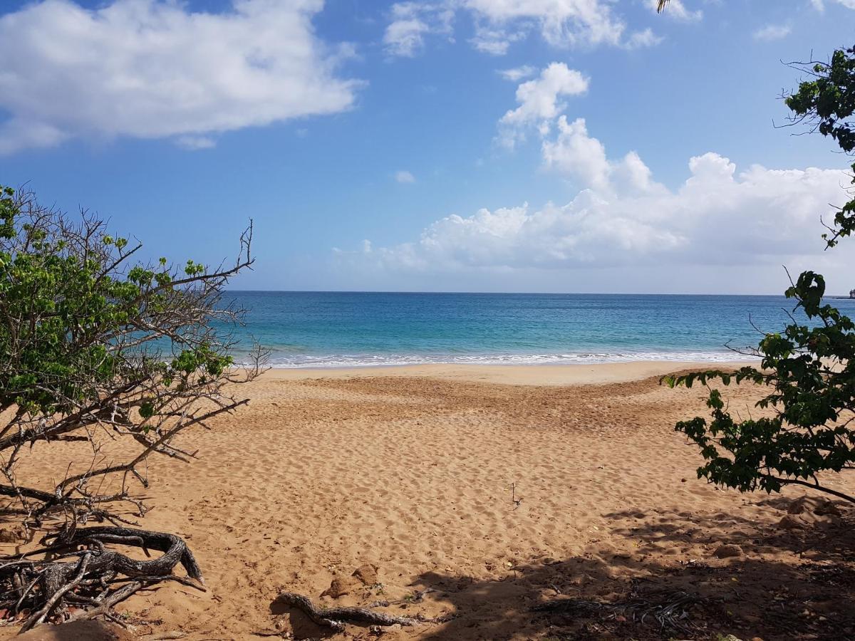 L'Aurielle, Tout Le Confort A 500M De La Plage Sainte-Rose Bagian luar foto